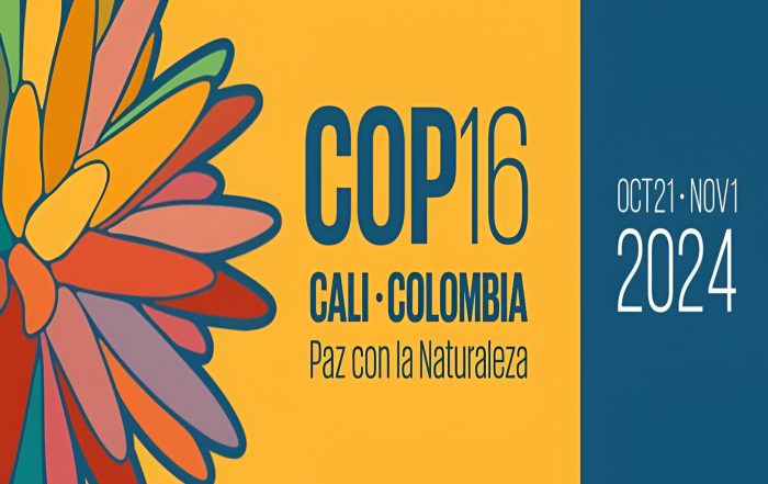 COP16