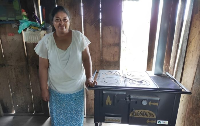 aporte de las estufas ecoeficientes