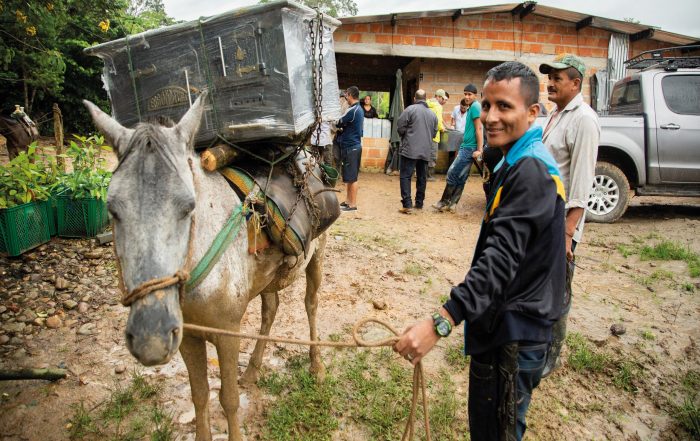 ventajas-estufas-eficientes-metalcof